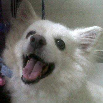 a few thoughts on&nbsp;fear